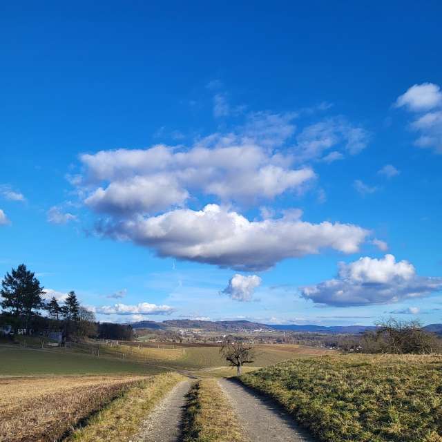 aida-khaldiの美しい写真による天気予報