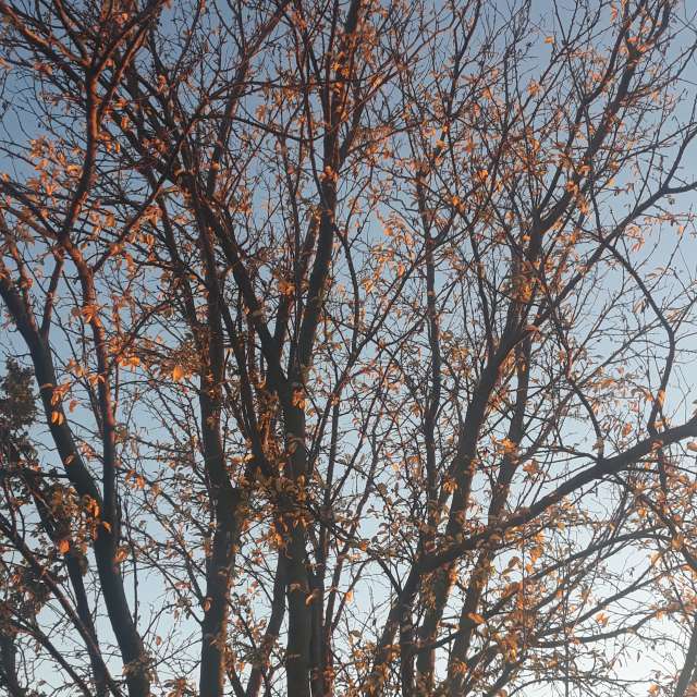 Wettervorhersagen mit schönen Fotos von Balint