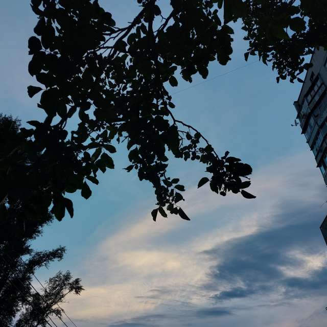 Motion. Weather forecasts with beautiful photos by Iryna Photos in Kharkiv