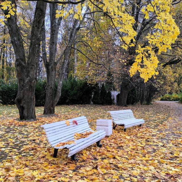 Jeaの美しい写真による天気予報