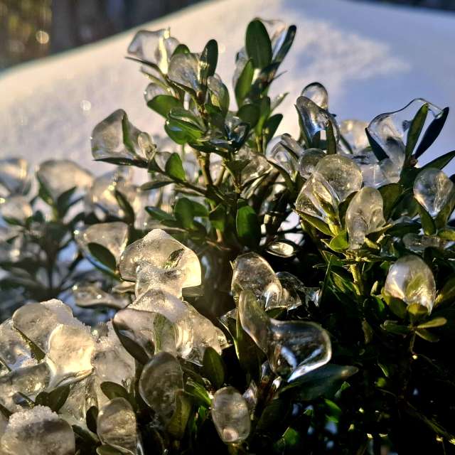 Weather forecasts with beautiful photos by Iryna