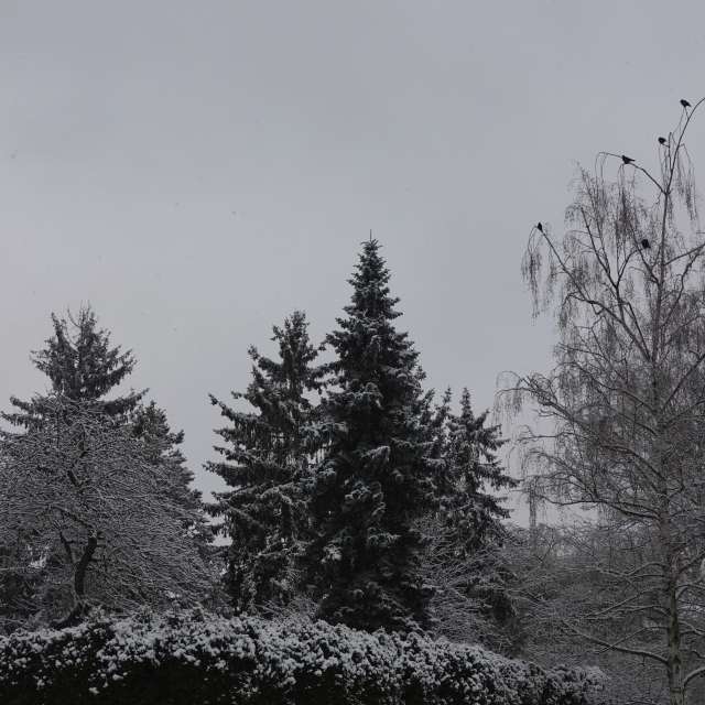 Fotos Grande. Previsões do tempo com lindas fotos de Vasek325 em Praha 4