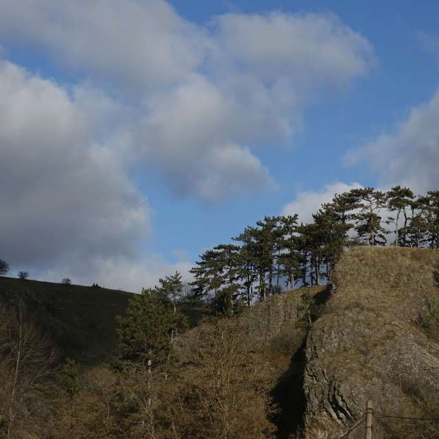 Previsões do tempo com lindas fotos de Vasek325