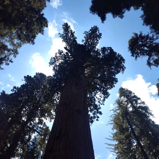 Weather forecasts with beautiful photos by Pilgrimfriend