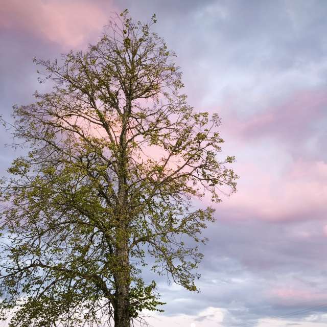 Fliegend. Wettervorhersagen mit schönen Fotos von Valiukas Fotos Litauen