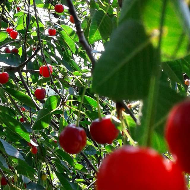 Table. Weather forecasts with beautiful photos by urashm Photos in Khmelnytskyi