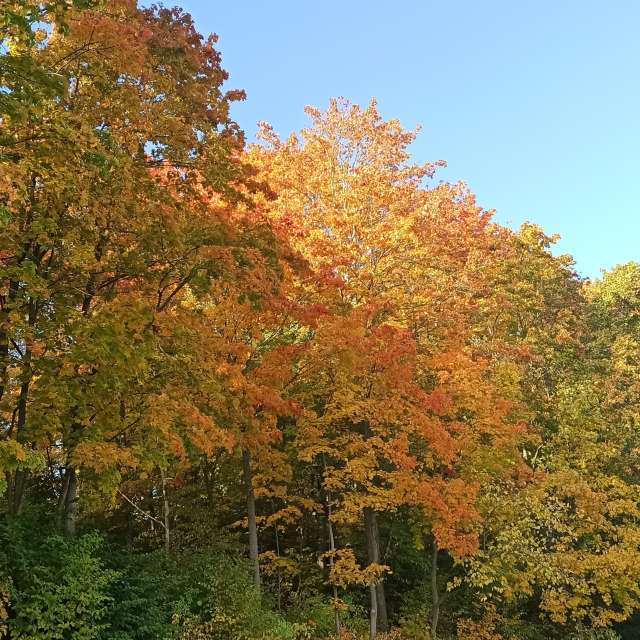 天气预报，带Helo_Sam精美的照片