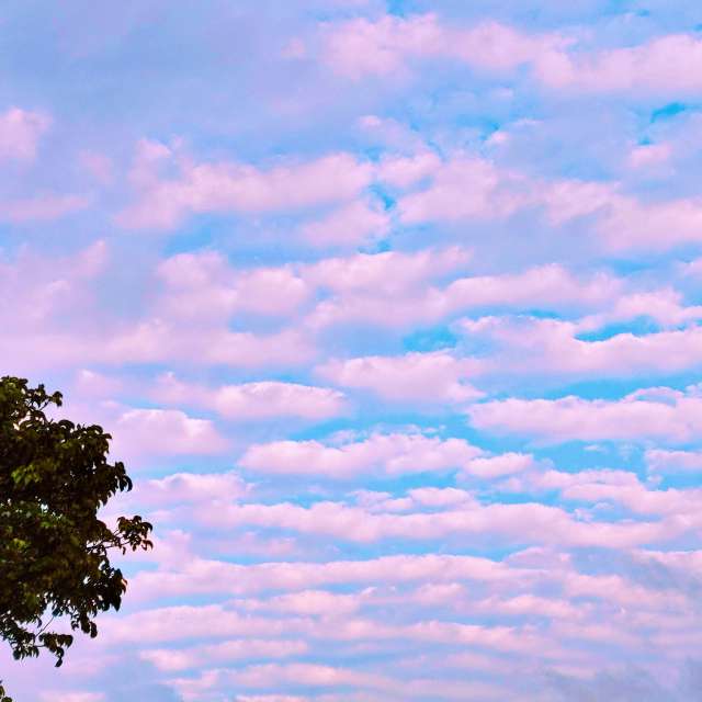 Previsões do tempo com lindas fotos de Takimi-sky