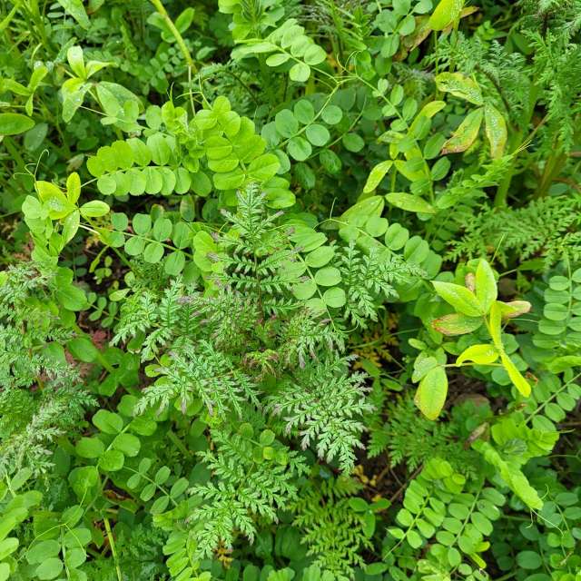 Weather forecasts with beautiful photos by aida-khaldi