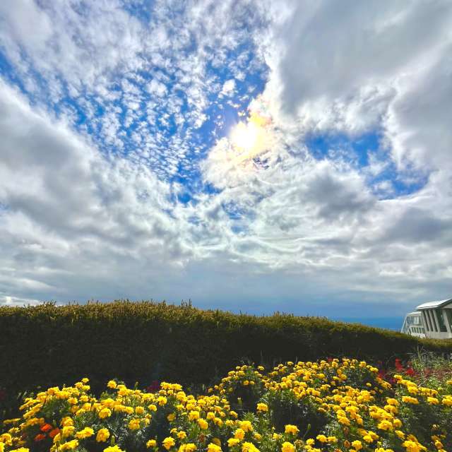 Colorful. Weather forecasts with beautiful photos by Kasumisou Photos in Saku-shi