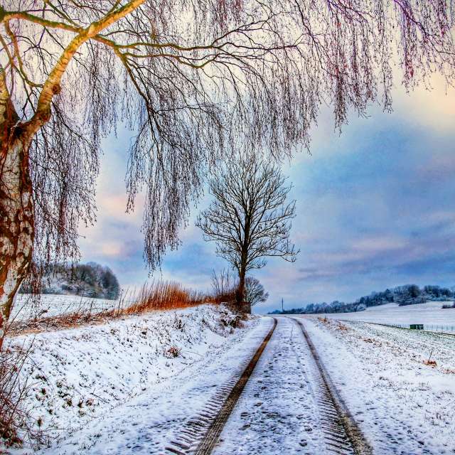 Prévisions météo avec de superbes photos de Lotti5507