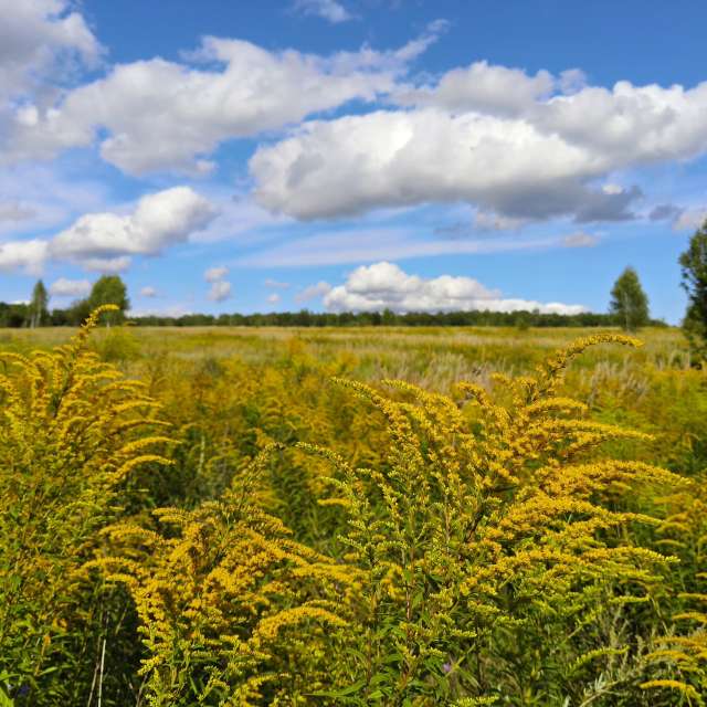 Eating. Weather forecasts with beautiful photos by Aleksei Photos in Tula
