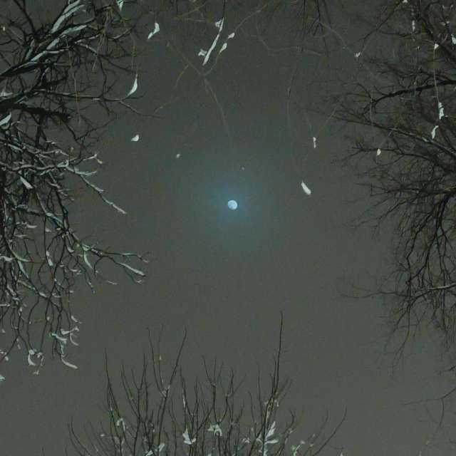 Fotos del Gente. Pronósticos del tiempo con hermosas fotos de YanBog en București