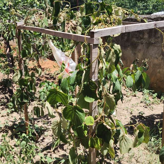 Vagcaの美しい写真による天気予報