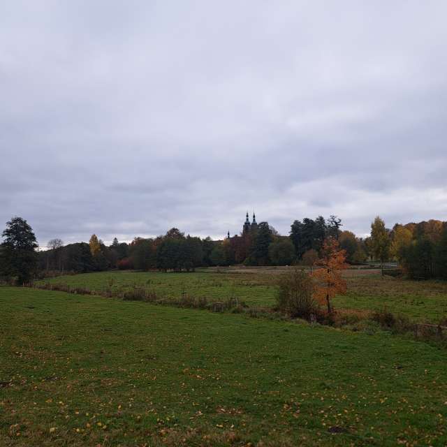 Pasture. Weather forecasts with beautiful photos by Sviatoslav Photos in World