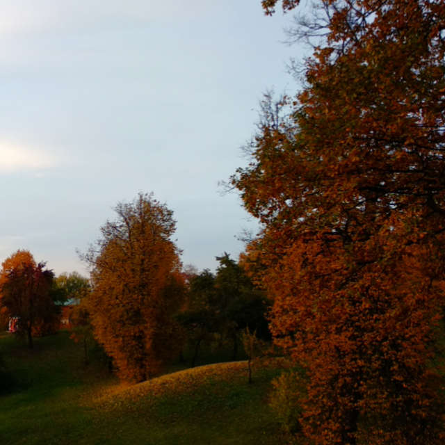 天气预报，带SoshnevaTatiana精美的照片