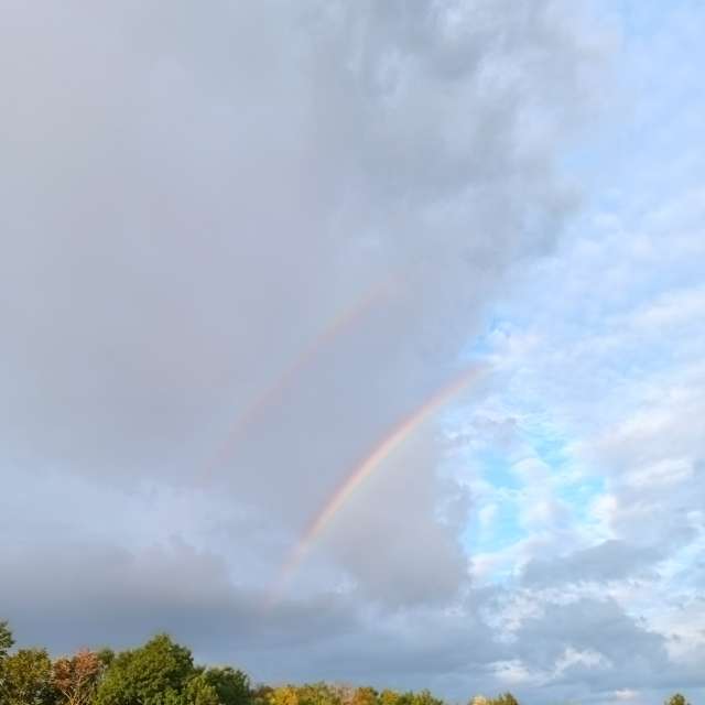 Rauch. Wettervorhersagen mit schönen Fotos von Kripo Fotos Niederösterreich