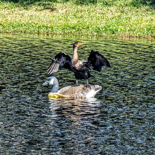 Weather forecasts with beautiful photos by boilerdude