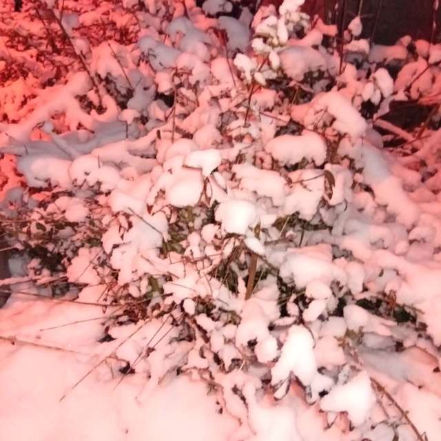 Pronósticos del tiempo con hermosas fotos de Kiki248