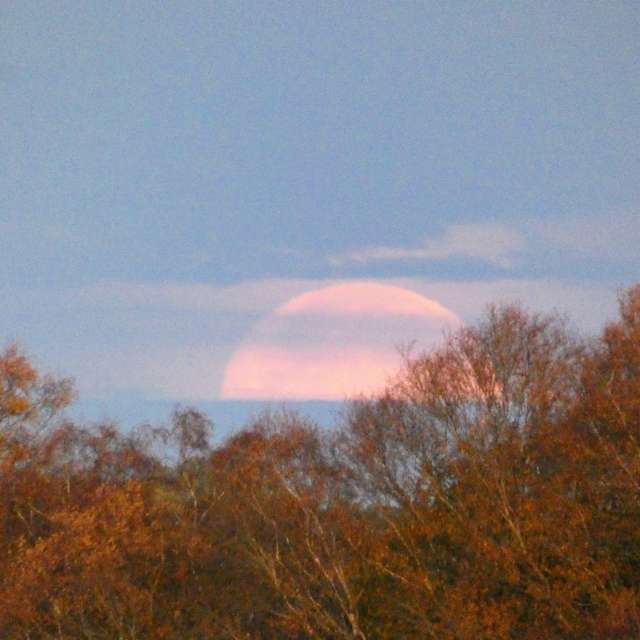 Прогнозы погоды с чудесными фотографиями, сделанными fwerner