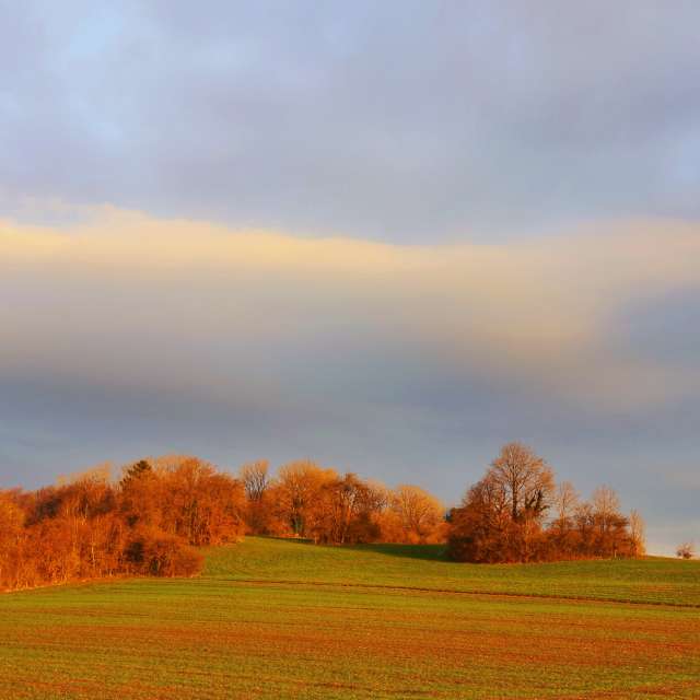 Jet. Weather forecasts with beautiful photos by Lotti5507 Photos in Stockum