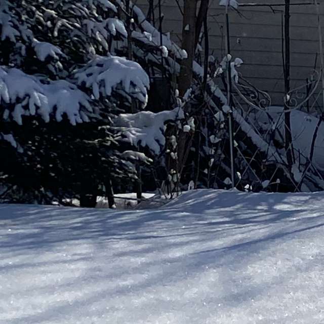 Haus. Wettervorhersagen mit schönen Fotos von Lulu5523 Fotos Outaouais