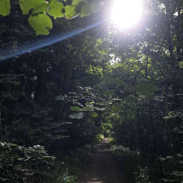 天气预报，带Neonchen精美的照片