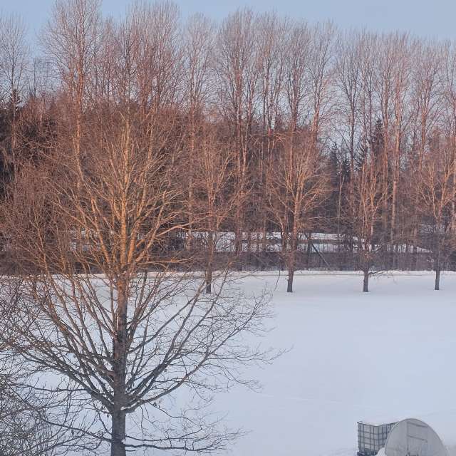 Pronósticos del tiempo con hermosas fotos de Sandra Bokisha