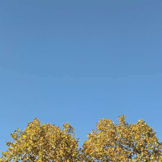 Fotos del Parque. Pronósticos del tiempo con hermosas fotos de YanBog en Bucharest