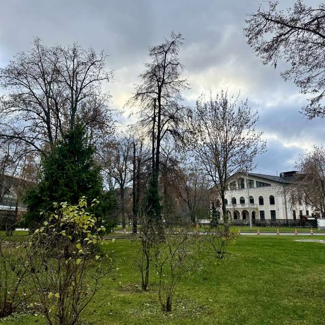 俄罗斯的天气照片. 天气预报，带Ritha精美的照片