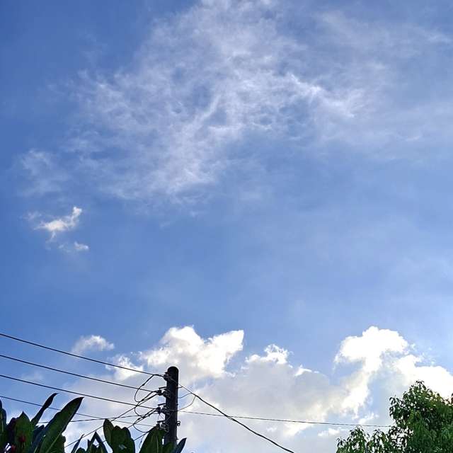 City. Weather forecasts with beautiful photos by Wen-ya Huang Photos in World