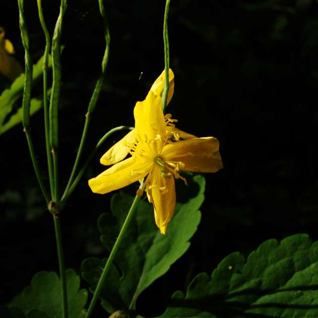 Large. Weather forecasts with beautiful photos by Михаил Гавриков Photos in Kharkiv