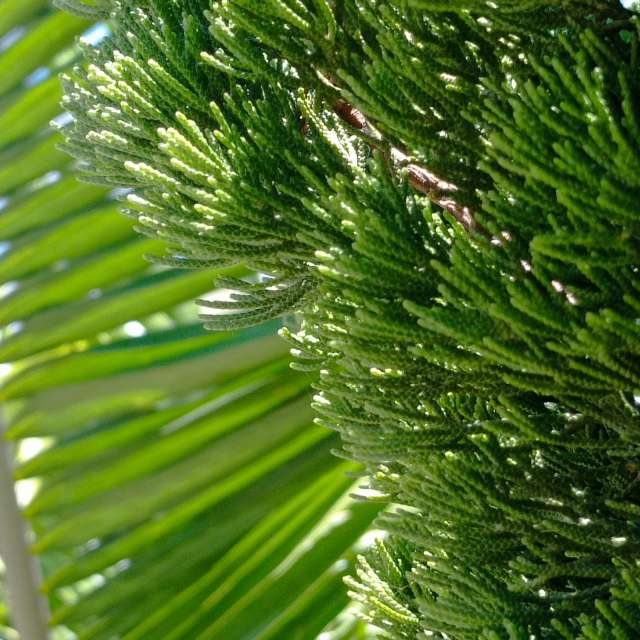 Прогнозы погоды с чудесными фотографиями, сделанными fernanda24h