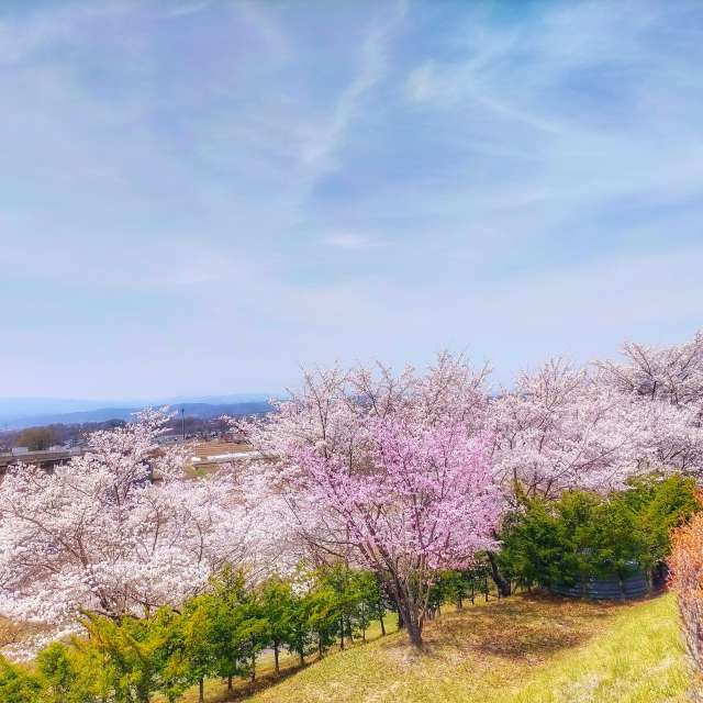 Weather. Weather forecasts with beautiful photos by Kasumisou Photos in Saku-shi