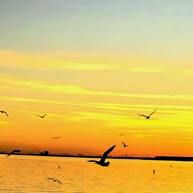 Weather forecasts with beautiful photos by jJaycox