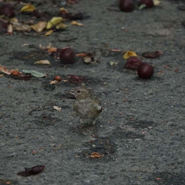 Fotos Rua. Previsões do tempo com lindas fotos de Vasek325 em Praha 12