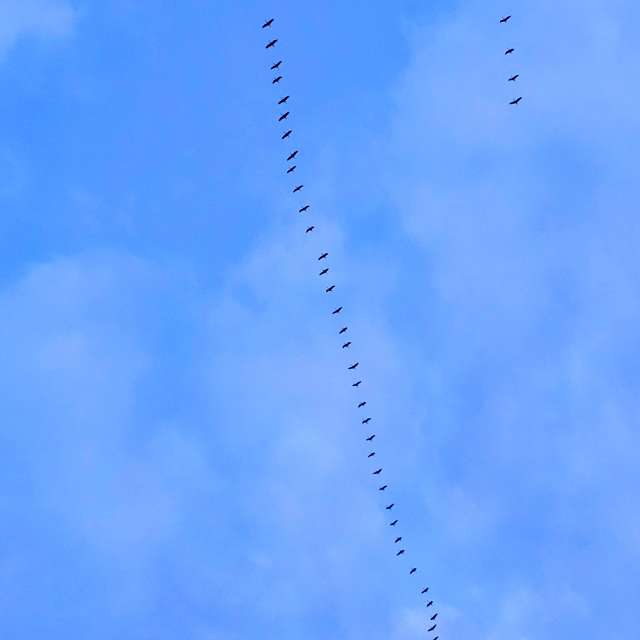 Clear. Weather forecasts with beautiful photos by Seni Photos in Velbert