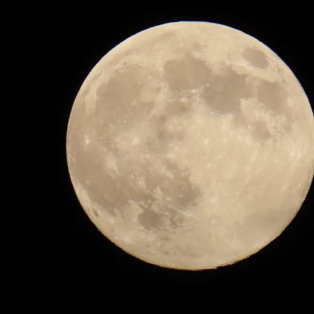 Lolliの美しい写真による天気予報