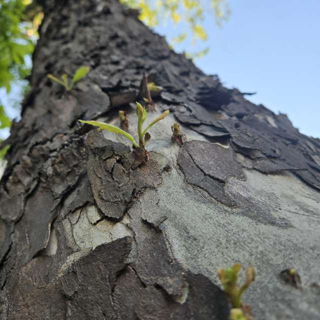 Prévisions météo avec de superbes photos de Jessica_A