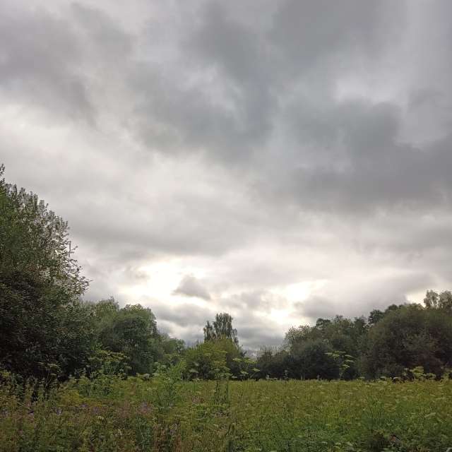 Grazing. Weather forecasts with beautiful photos by Amanda_and_Valdemar_Che Photos in Izmaylovo District