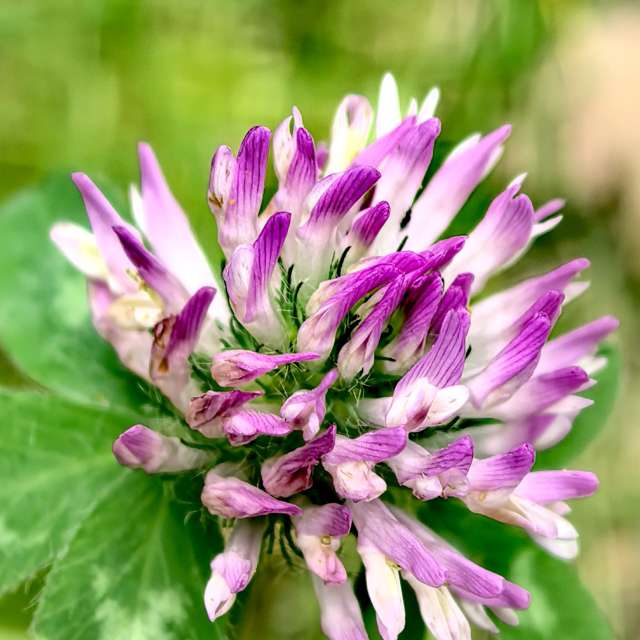 Previsões do tempo com lindas fotos de Igor-65