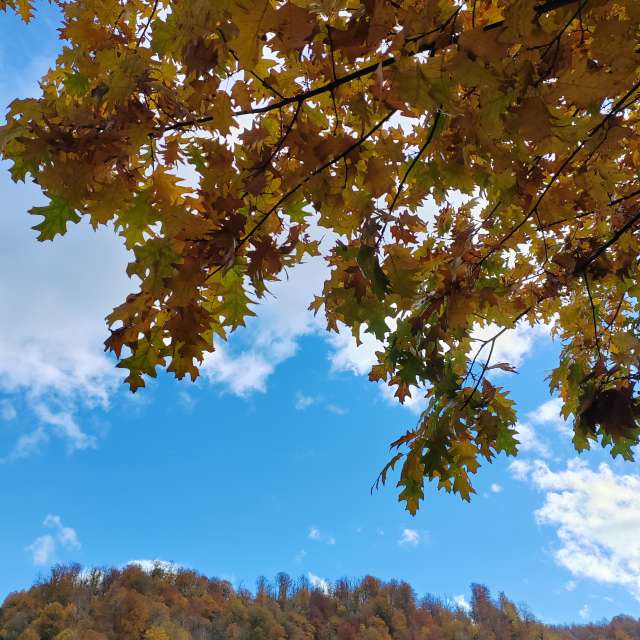 Wettervorhersagen mit schönen Fotos von Albert_Smelovtsev