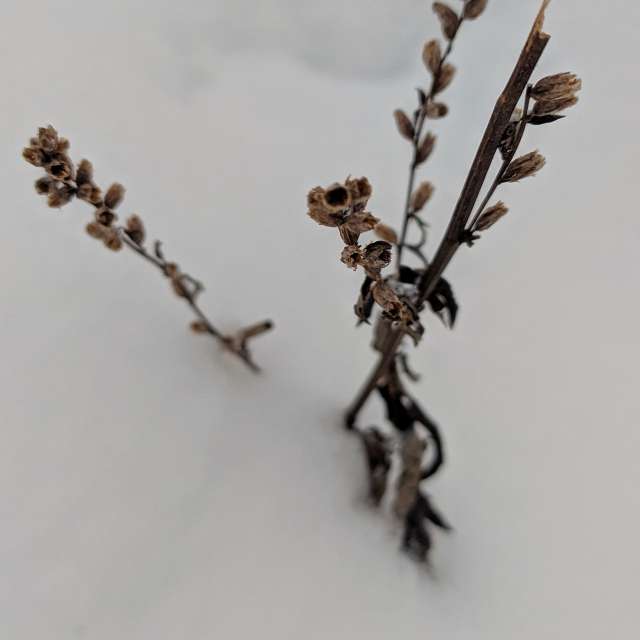 天气预报，带aastrelkova精美的照片