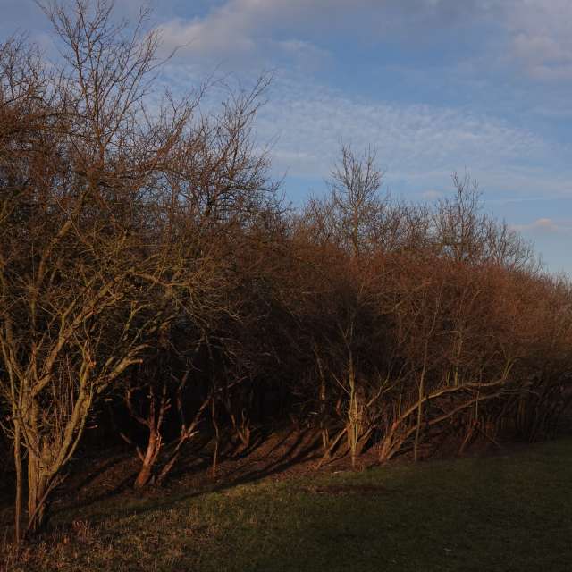 Fotos Grama. Previsões do tempo com lindas fotos de Vasek325 em Praha 4