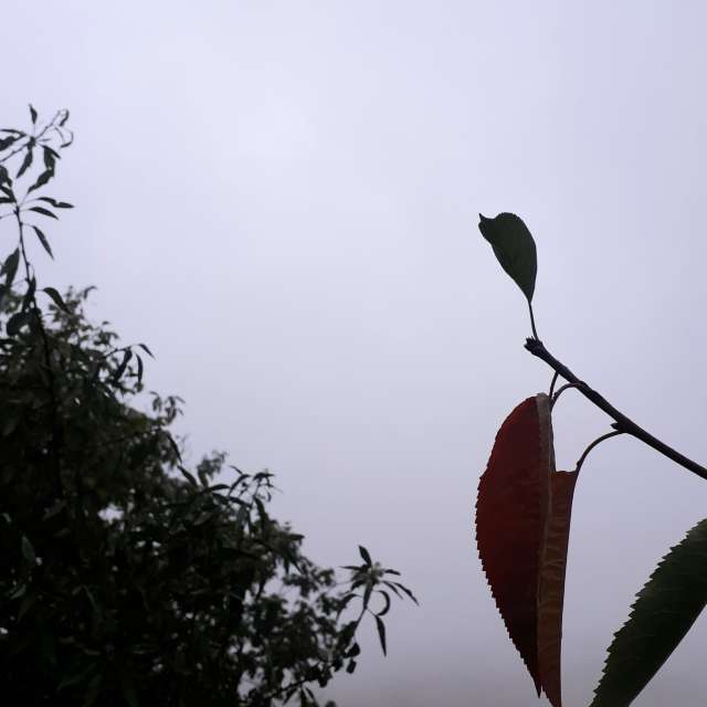 Pronósticos del tiempo con hermosas fotos de miladzee