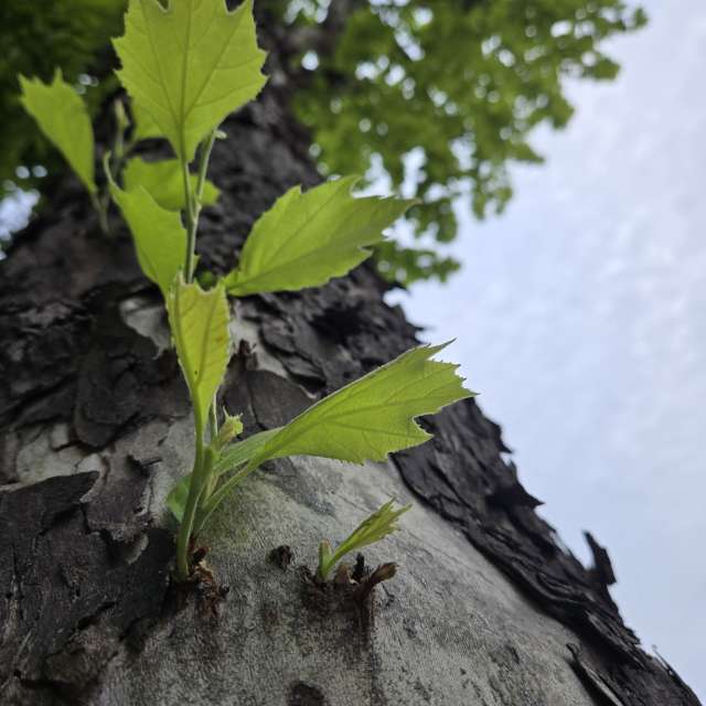 Prévisions météo avec de superbes photos de Jessica_A