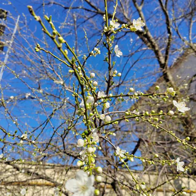 Fotos del Colina. Pronósticos del tiempo con hermosas fotos de Albert_Smelovtsev en Sochi