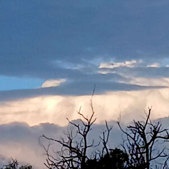 Teriの美しい写真による天気予報