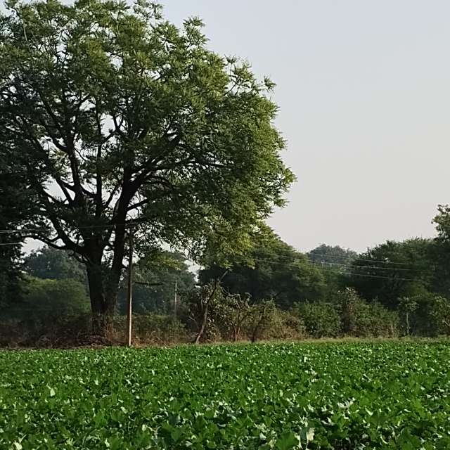 Eating. Weather forecasts with beautiful photos by Ohm_1956 Photos in World
