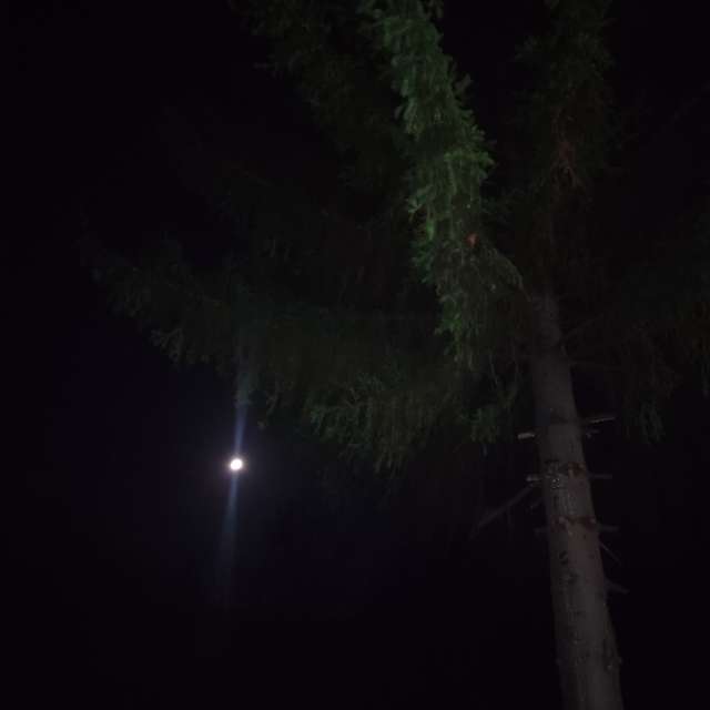 Kleka92の美しい写真による天気予報